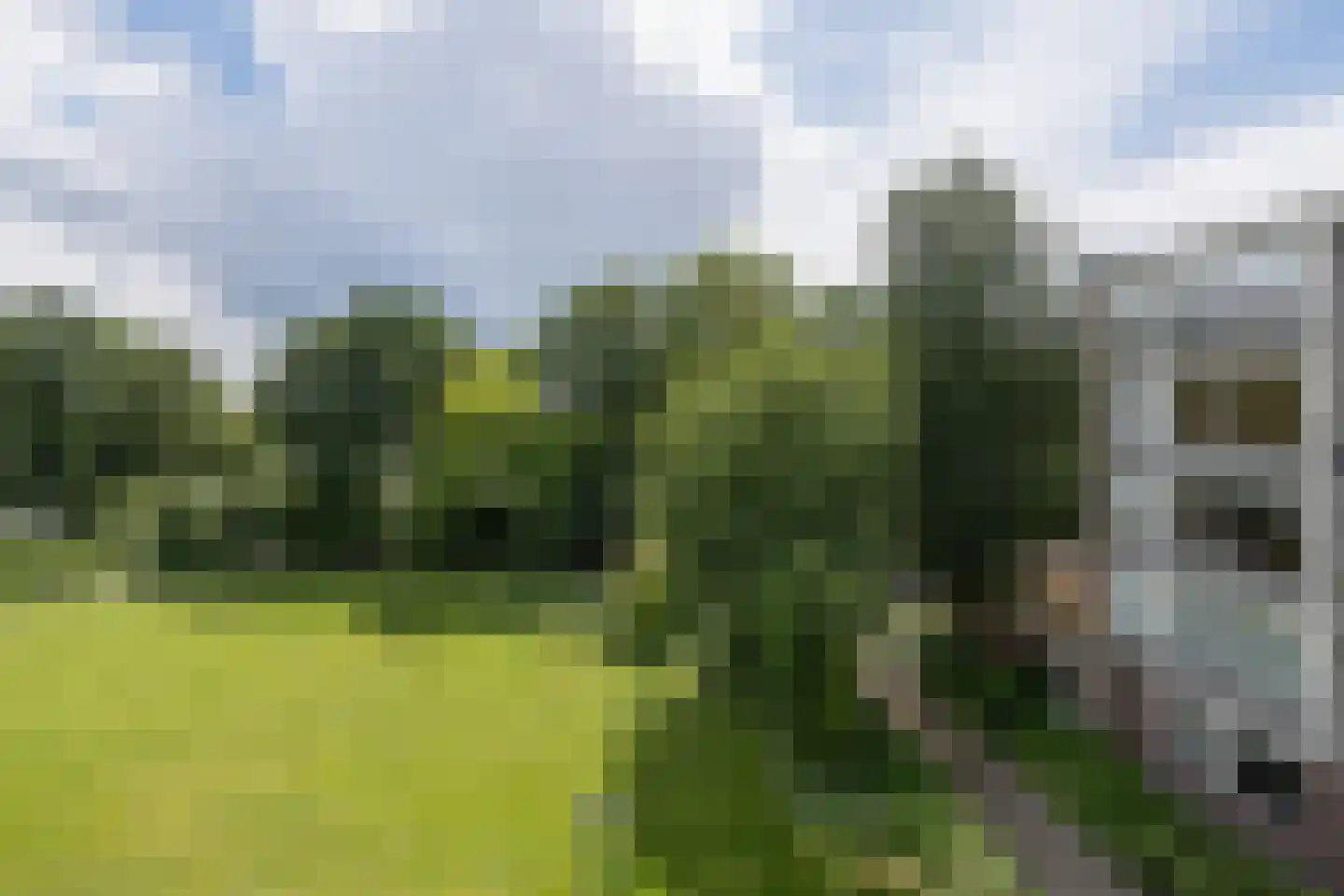 Beukenhorst 87 Driebergen-Rijsenburg thumbnail 34