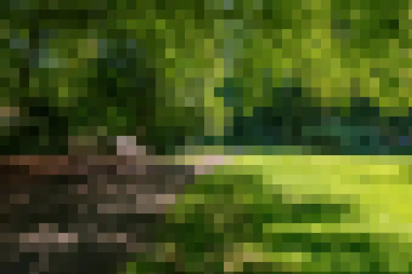 Beukenhorst 87 Driebergen-Rijsenburg thumbnail 36