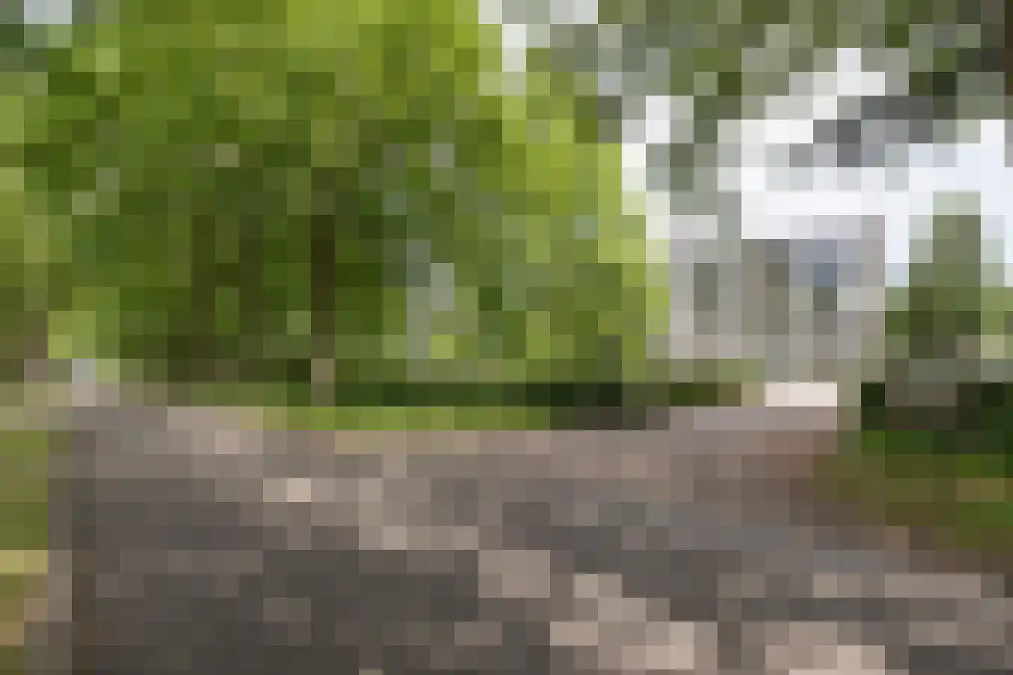 Beukenhorst 87 Driebergen-Rijsenburg thumbnail 46