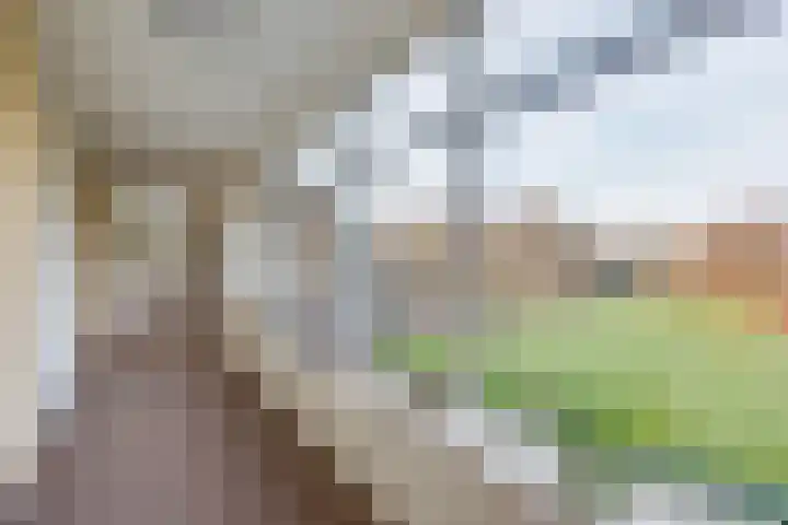 Beukenhorst 91 Driebergen-Rijsenburg thumbnail 5