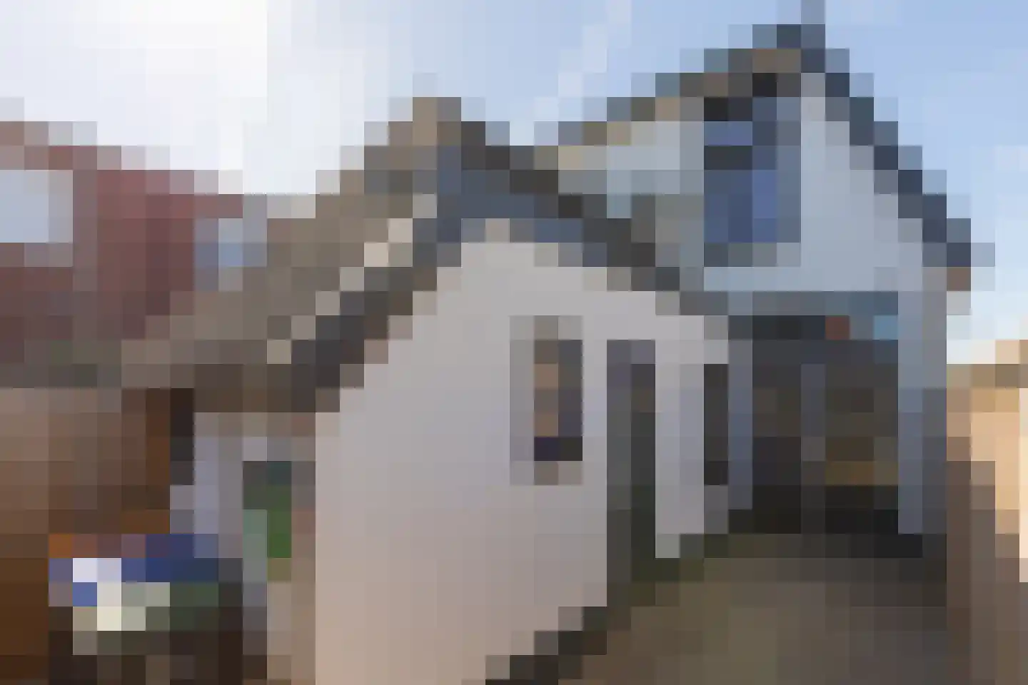 Beukenhorstweg 21 Winterswijk thumbnail 35