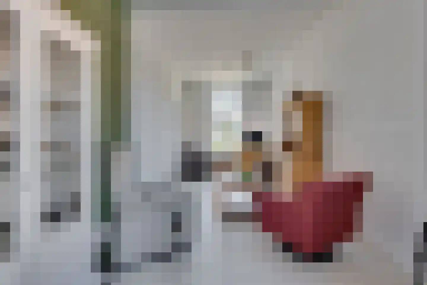 Beukenhorstweg 21 Winterswijk thumbnail 9