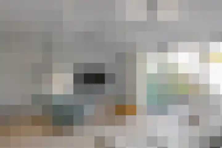 Beukenhout 16 Julianadorp thumbnail 11