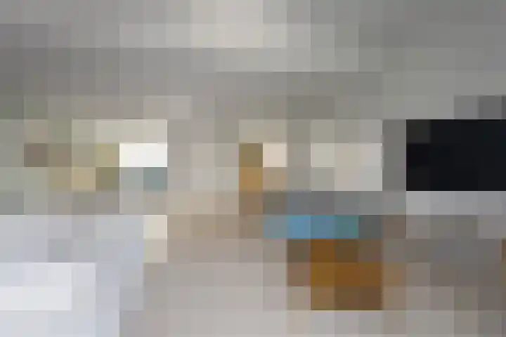 Beukenhout 16 Julianadorp thumbnail 13