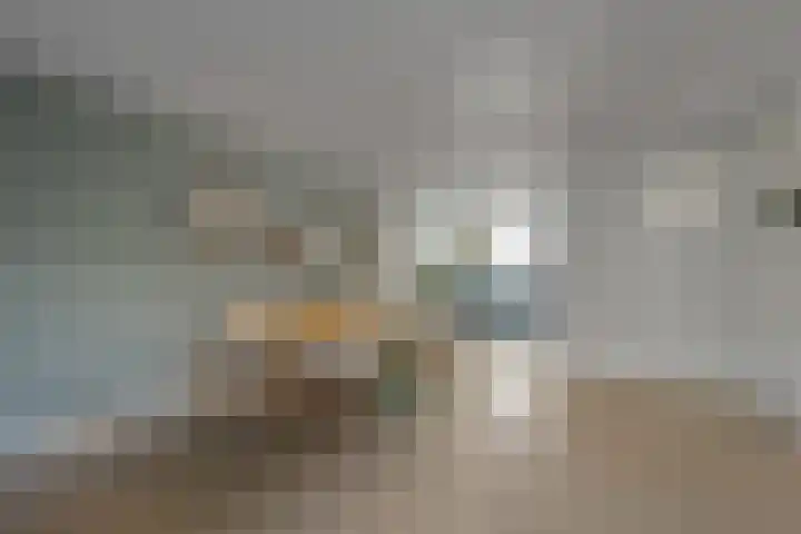 Beukenhout 16 Julianadorp thumbnail 14