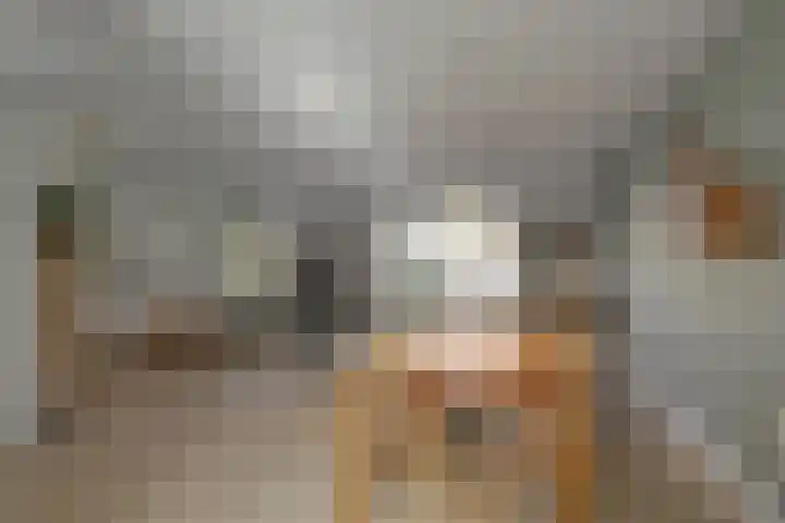 Beukenhout 16 Julianadorp thumbnail 16
