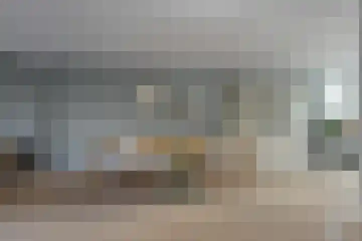 Beukenhout 16 Julianadorp thumbnail 17