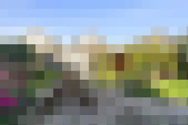 Beukenhout 16 Julianadorp thumbnail 18