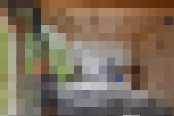 Beukenhout 16 Julianadorp thumbnail 19