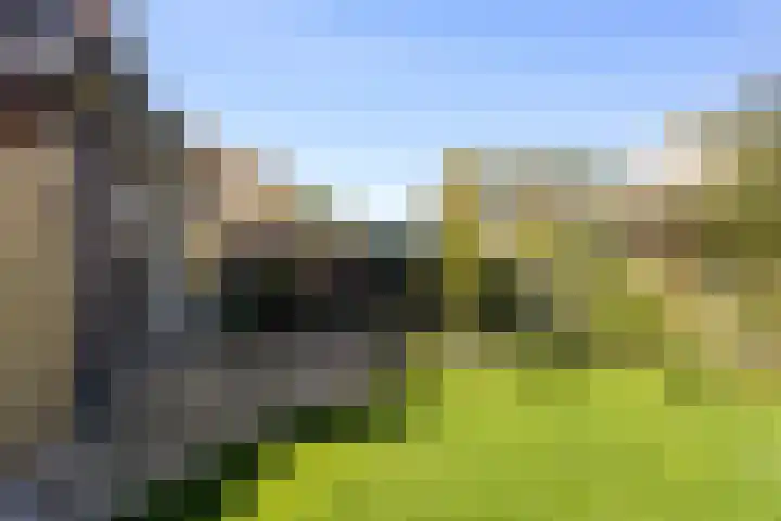 Beukenhout 16 Julianadorp thumbnail 20