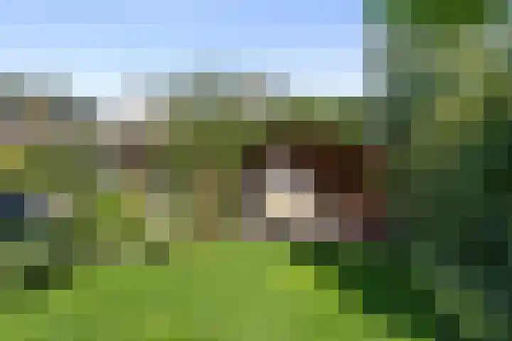 Beukenhout 16 Julianadorp thumbnail 21