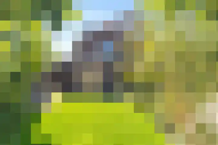 Beukenhout 16 Julianadorp thumbnail 22