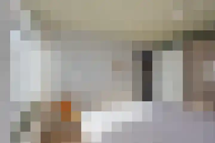 Beukenhout 16 Julianadorp thumbnail 24