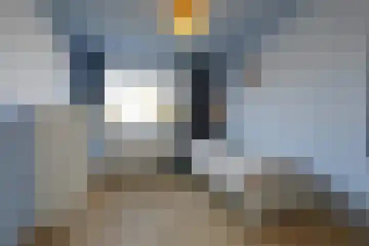 Beukenhout 16 Julianadorp thumbnail 26