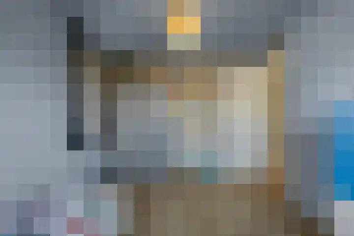 Beukenhout 16 Julianadorp thumbnail 27
