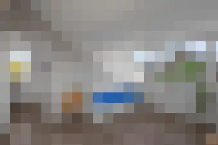 Beukenhout 16 Julianadorp thumbnail 33