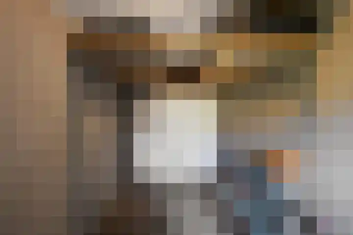 Beukenhout 16 Julianadorp thumbnail 37