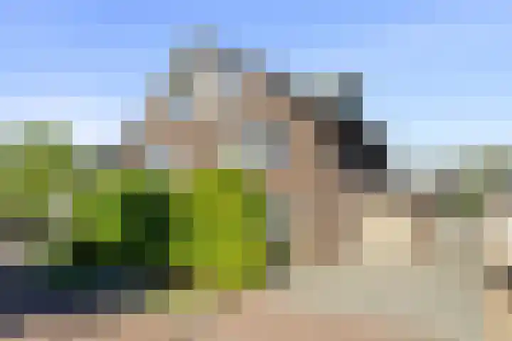 Beukenhout 16 Julianadorp thumbnail 5