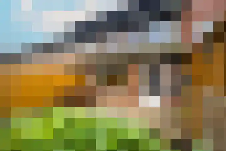 Beukenhout 20 Houten thumbnail 14