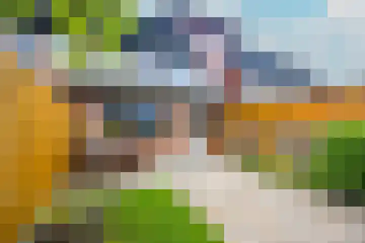 Beukenhout 20 Houten thumbnail 15