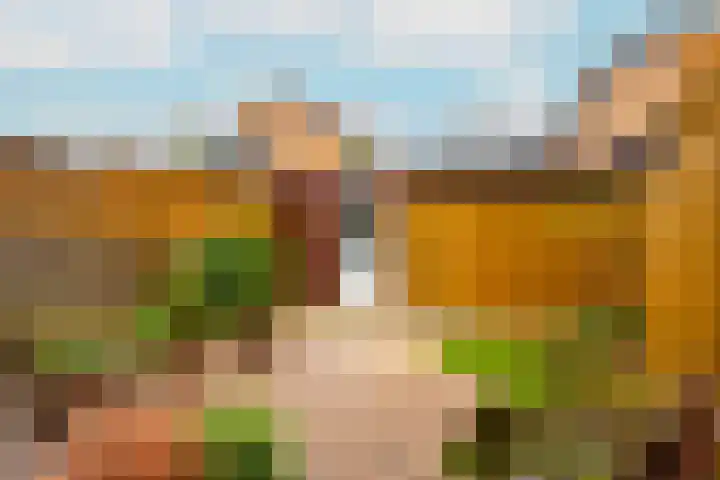 Beukenhout 20 Houten thumbnail 16