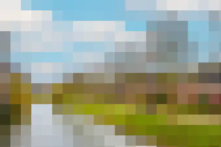 Beukenhout 20 Houten thumbnail 40