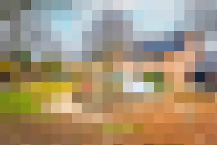 Beukenhout 20 Houten thumbnail 42
