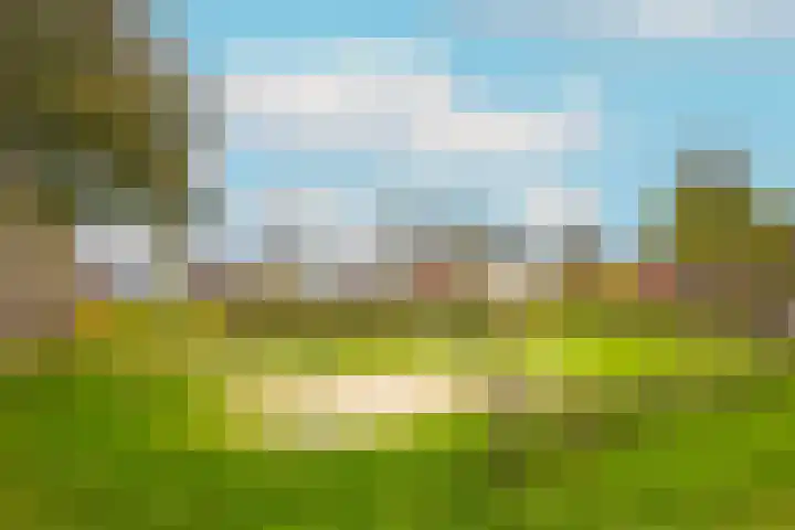 Beukenhout 20 Houten thumbnail 43