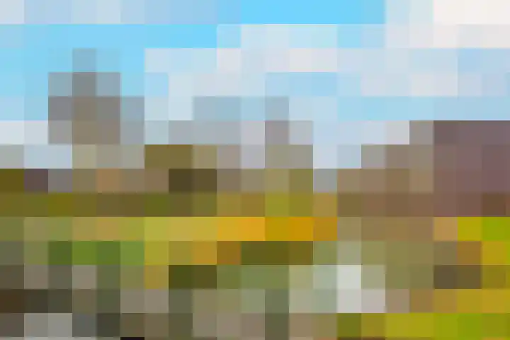 Beukenhout 20 Houten thumbnail 44