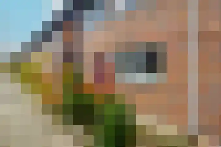 Beukenhout 20 Houten thumbnail 5