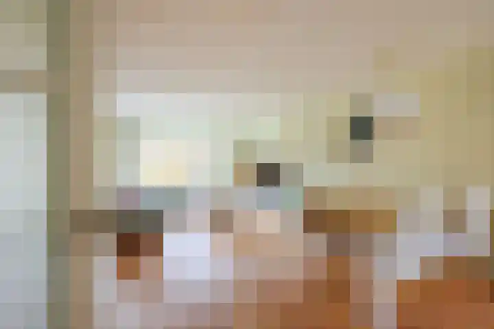 Beukenhout 20 Houten thumbnail 7