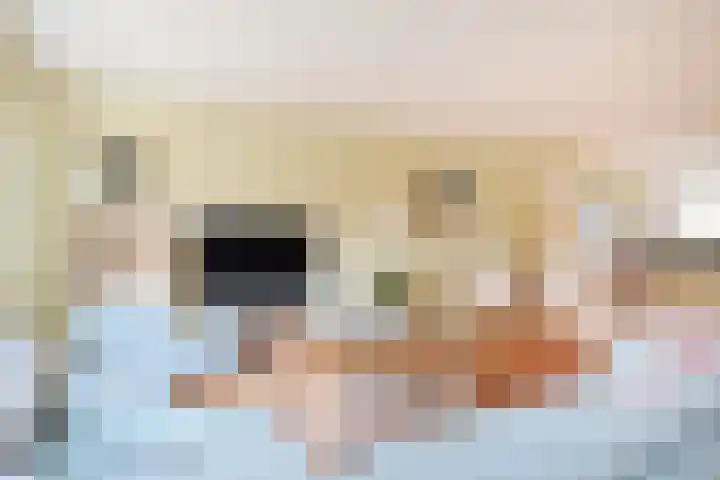 Beukenhout 20 Houten thumbnail 8