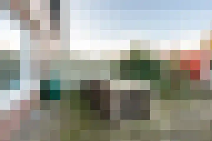 Beukenhout 24 Houten thumbnail 10