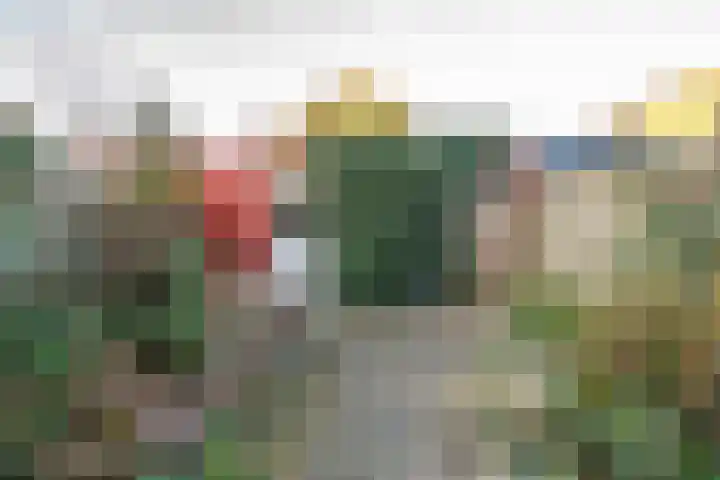 Beukenhout 24 Houten thumbnail 11