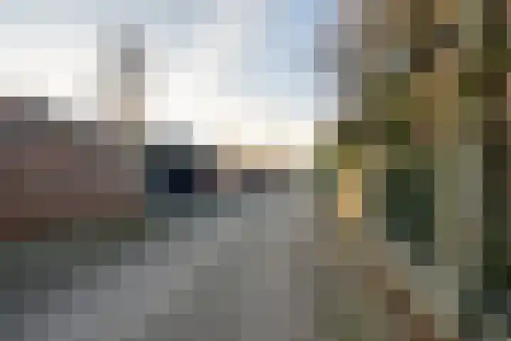 Beukenhout 24 Houten thumbnail 13