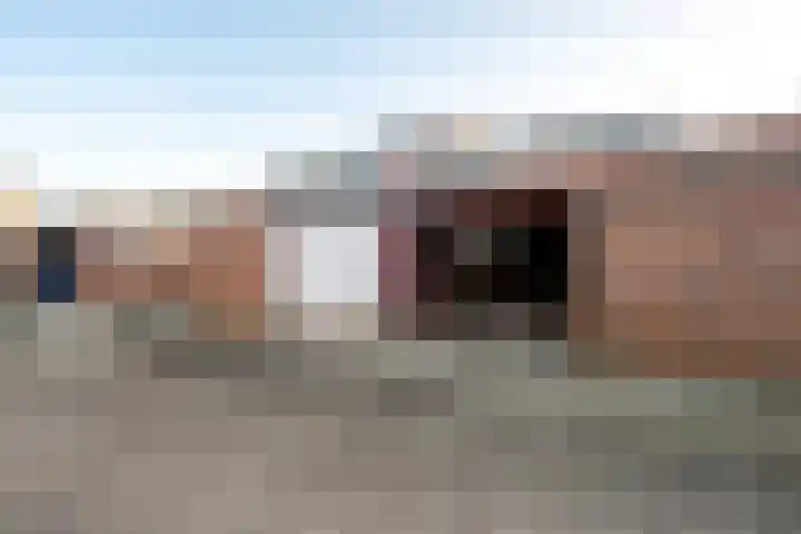 Beukenhout 24 Houten thumbnail 15