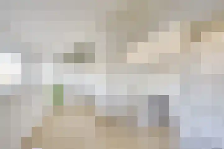 Beukenhout 24 Houten thumbnail 24