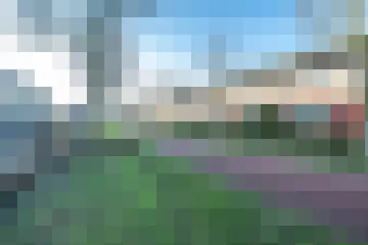 Beukenhout 24 Houten thumbnail 31