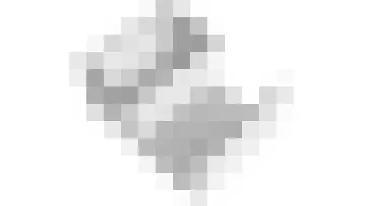 Beukenhout 24 Houten thumbnail 46