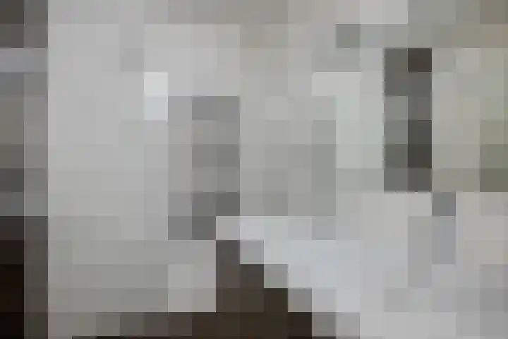 Beukenhout 62 Houten thumbnail 19