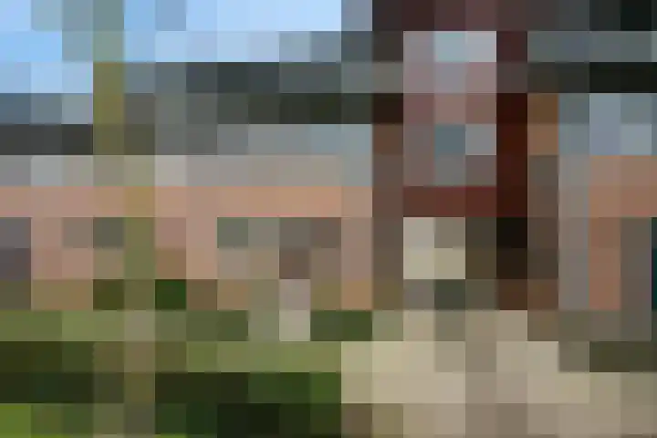 Beukenhout 62 Houten thumbnail 26