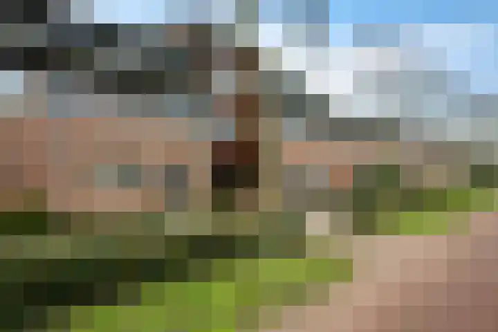 Beukenhout 62 Houten thumbnail 27