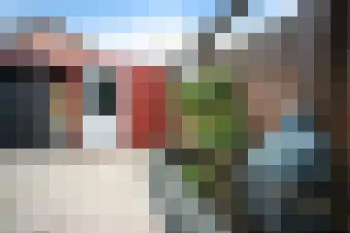 Beukenhout 62 Houten thumbnail 29