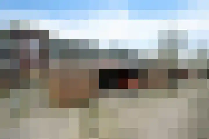 Beukenhout 62 Houten thumbnail 31