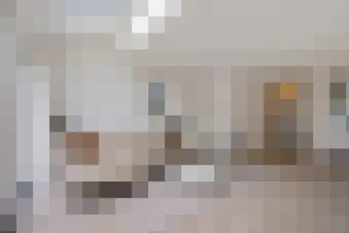 Beukenhout 62 Houten thumbnail 4