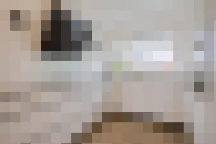 Beukenhout 62 Houten thumbnail 9