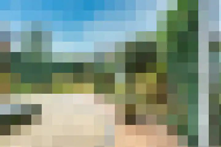 Beukenhout 72 Houten thumbnail 14