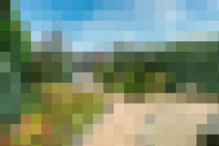Beukenhout 72 Houten thumbnail 16