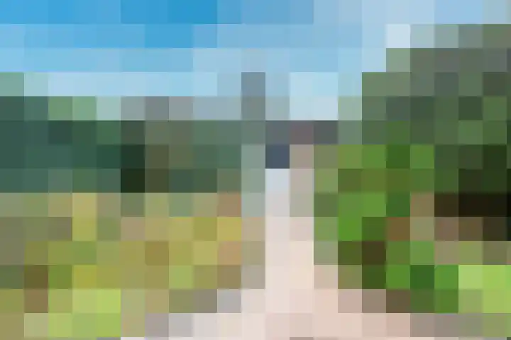 Beukenhout 72 Houten thumbnail 17