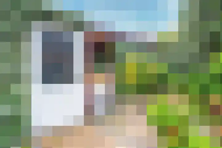 Beukenhout 72 Houten thumbnail 18